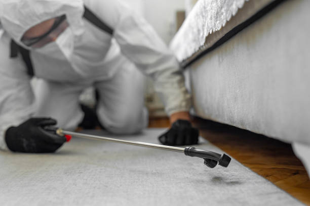 Professional Bed Bug Control technician working in Cumberland, WI